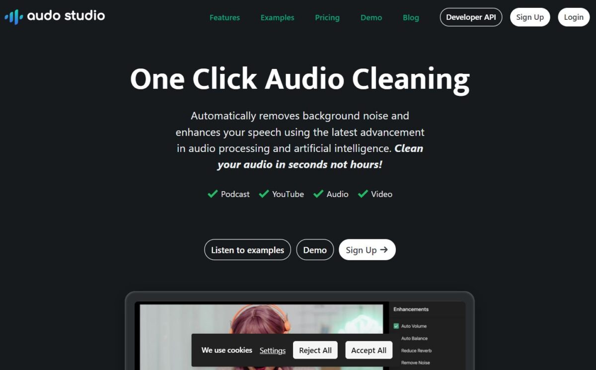 audio-cleaner-ai